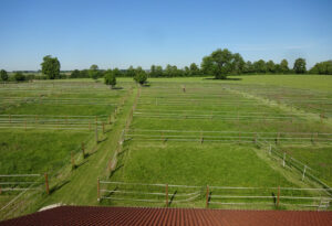 Sommerkoppel