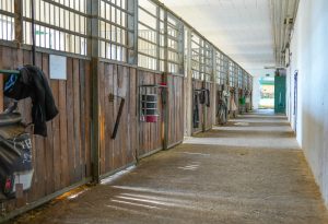 Stallungen